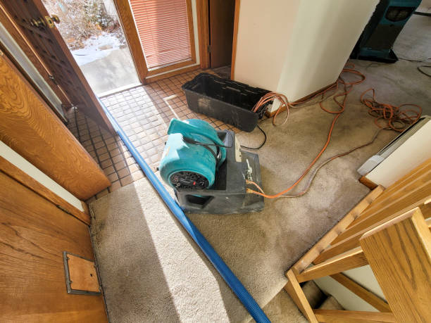 Best Water damage repair service  in Richmond, VA