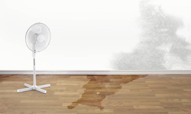 Best Emergency water damage restoration  in Richmond, VA